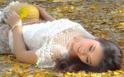 乱码卡1卡2卡3含羞草